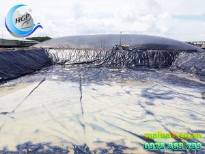 Bạt Nhựa HDPE Lót Ao Hồ Chứa Nước Tưới Cây Nuôi Cá Tại Bình Dương
