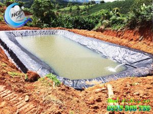 Bạt Nhựa HDPE Lót Ao Hồ Chứa Nước Tưới Cây Nuôi Cá Tại Đồng Nai