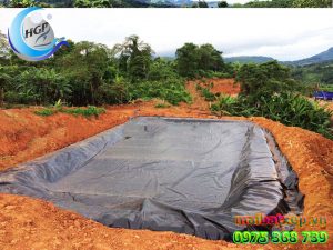 Bạt Nhựa HDPE Lót Ao Hồ Chứa Nước Tưới Cây Nuôi Cá Tại Đà Lạt