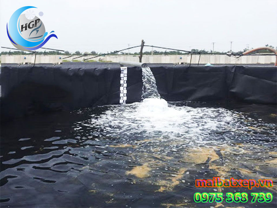 Bạt Nhựa HDPE Lót Ao Hồ Chứa Nước Nuôi Cá Tôm Tại Phú Yên