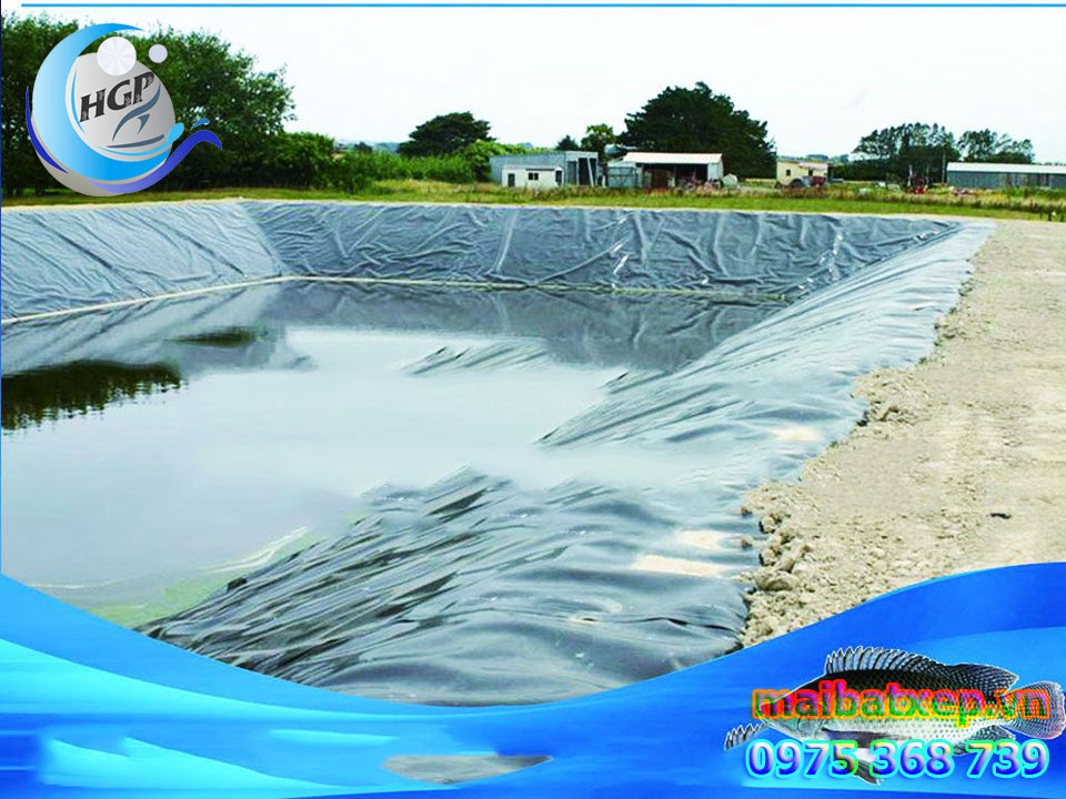 Bạt Nhựa HDPE Lót Ao Hồ Chứa Nước Nuôi Cá Tôm Tại Kiên Giang