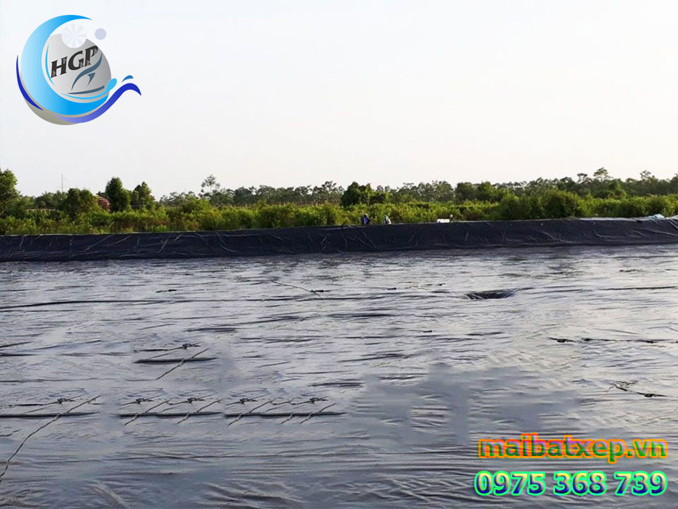 Bạt Nhựa HDPE Lót Ao Hồ Chứa Nước Nuôi Cá Tôm Tại Phú Yên