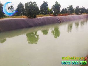Bạt Lót Hồ chứa Nước Tưới Cây Nuôi Cá Tại Đồng Nai