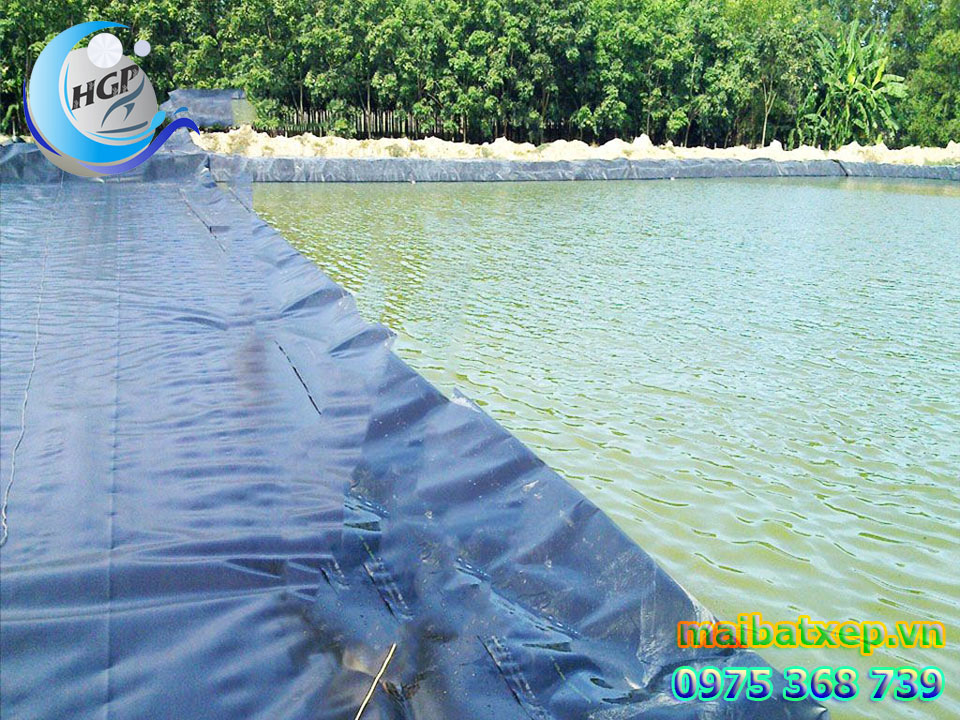 Bạt Nhựa HDPE Lót Ao Hồ Chứa Nước Nuôi Cá Tôm Tại Kiên Giang