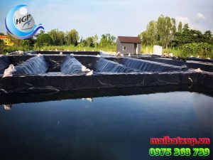 Bạt Nhựa HDPE Lót Ao Hồ Chứa Nước Nuôi Cá Tôm