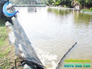 Bạt Nhựa HDPE Lót Ao Hồ Chứa Nước Nuôi Cá Tôm Tại Kiên Giang