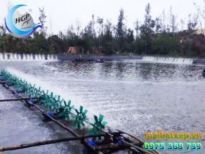 Bạt Nhựa HDPE Lót Ao Hồ Chứa Nước Nuôi Cá Tôm Tại