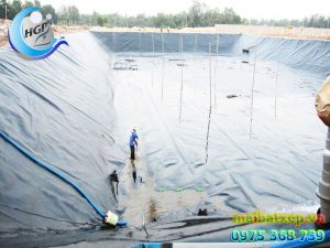 Bạt Nhựa HDPE Lót Ao Hồ Chứa Nước Nuôi Cá Tôm Tại Ninh Thuận