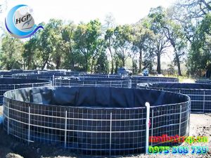 Bạt Nhựa HDPE Lót Ao Hồ Chứa Nước Nuôi Cá Tôm