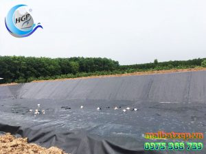 Bạt Nhựa HDPE Lót Ao Hồ Chứa Nước Tưới Cây Nuôi Cá Tại Lâm Đồng