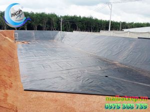 Bạt Nhựa HDPE Lót Ao Hồ Chứa Nước Tưới Cây Nuôi Cá Tại Đắk Lắk